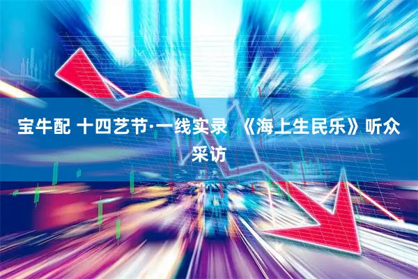 宝牛配 十四艺节·一线实录  《海上生民乐》听众采访
