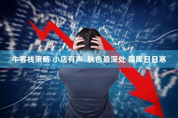 牛客栈策略 小店有声  秋色最深处 霜降日日寒