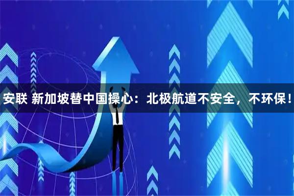 安联 新加坡替中国操心：北极航道不安全，不环保！