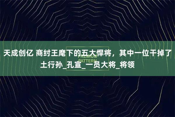 天成创亿 商纣王麾下的五大悍将，其中一位干掉了土行孙_孔宣_一员大将_将领