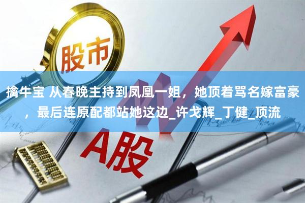 擒牛宝 从春晚主持到凤凰一姐，她顶着骂名嫁富豪，最后连原配都站她这边_许戈辉_丁健_顶流