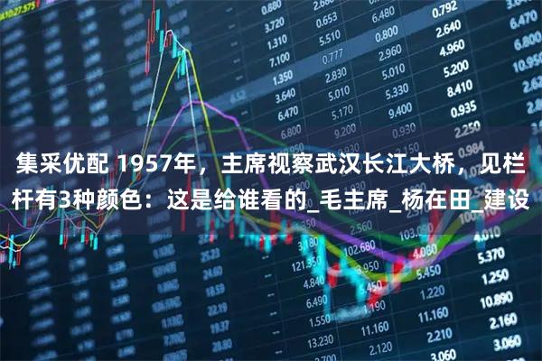 集采优配 1957年，主席视察武汉长江大桥，见栏杆有3种颜色：这是给谁看的_毛主席_杨在田_建设