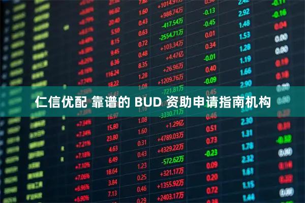 仁信优配 靠谱的 BUD 资助申请指南机构