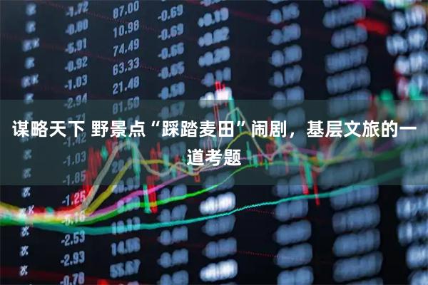 谋略天下 野景点“踩踏麦田”闹剧，基层文旅的一道考题