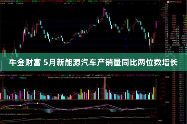牛金财富 5月新能源汽车产销量同比两位数增长