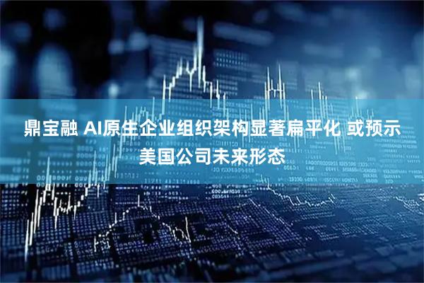 鼎宝融 AI原生企业组织架构显著扁平化 或预示美国公司未来形态