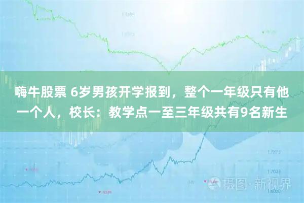 嗨牛股票 6岁男孩开学报到，整个一年级只有他一个人，校长：教学点一至三年级共有9名新生